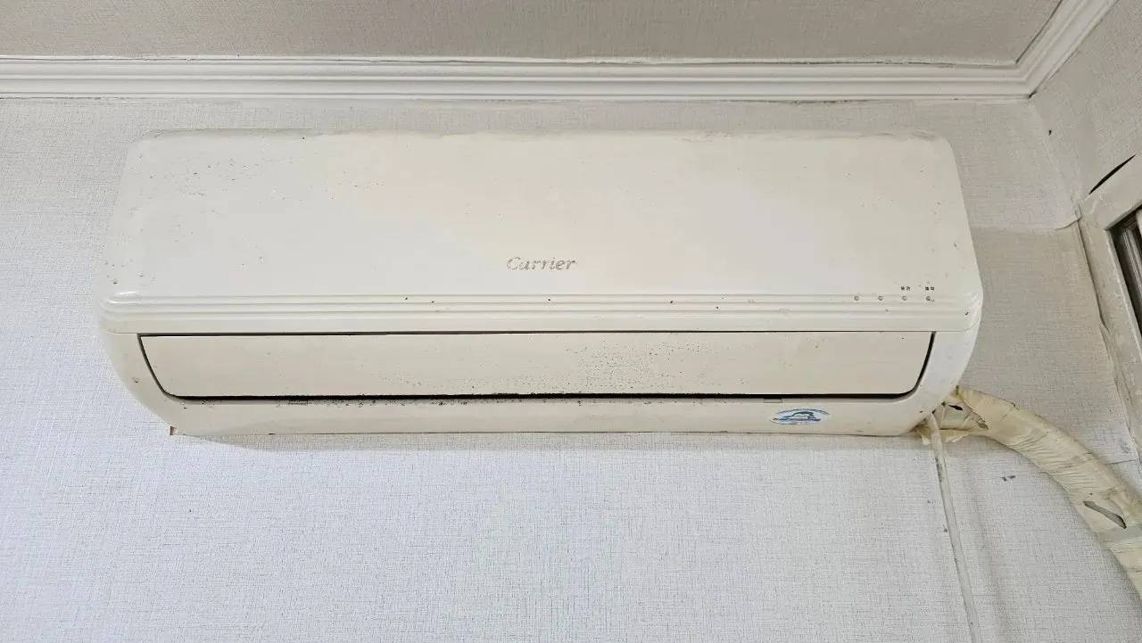 img 13